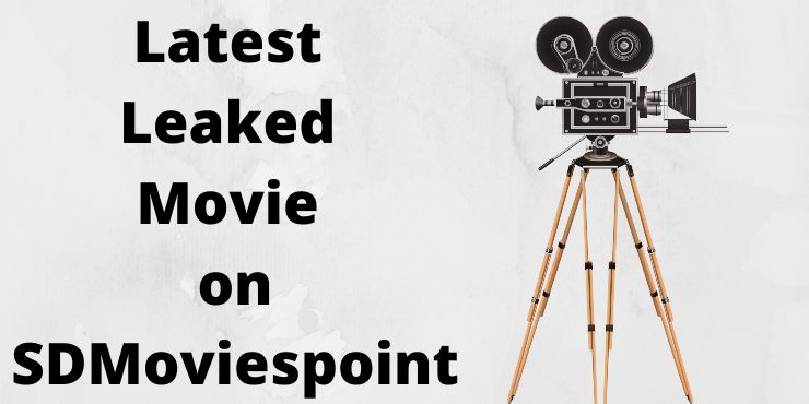 SD Movies Point SD Movies Point