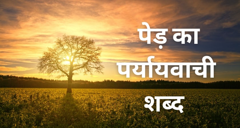 Ped Ka Paryayvachi Shabd