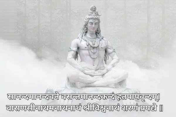 सानन्दमानन्दवने वसन्तमानन्दकन्दं हतपापवृन्दम्।
वाराणसीनाथमनाथनाथं श्रीविश्वनाथं शरणं प्रपद्ये ॥